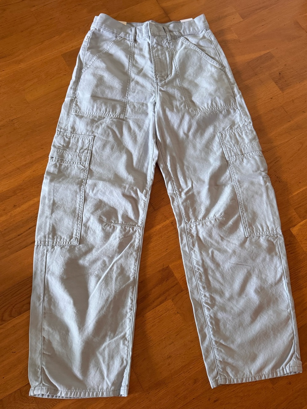 CITIZENS OF HUMANITY MARCELLE CARGO PANTS IN JUNE BLUE NWT SIZE 25